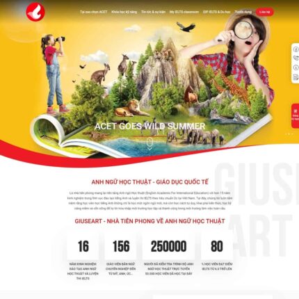 Thiết kế website chuyên nghiệp