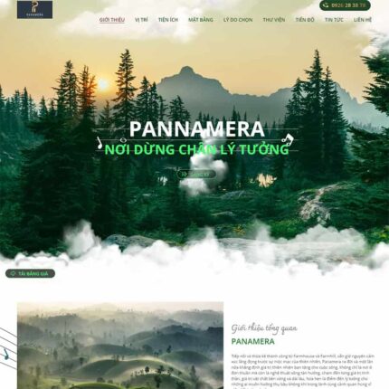 Thiết kế website chuyên nghiệp