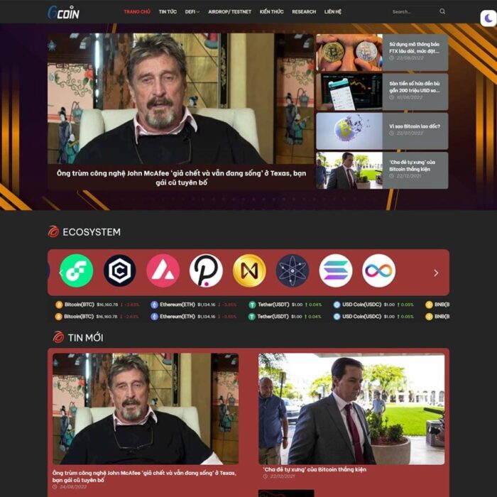Thiết kế website chuyên nghiệp