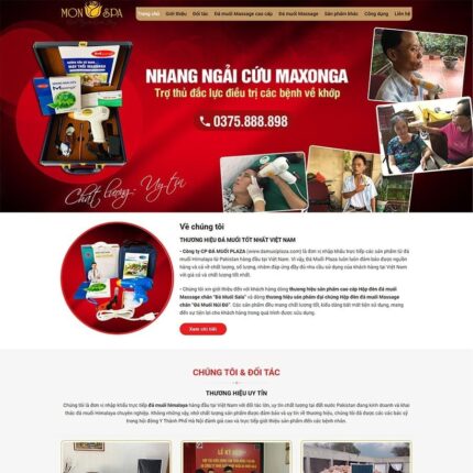 Thiết kế website chuyên nghiệp