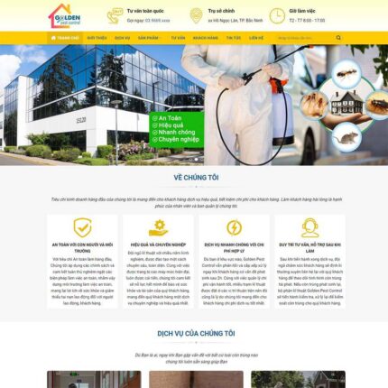 Thiết kế website chuyên nghiệp