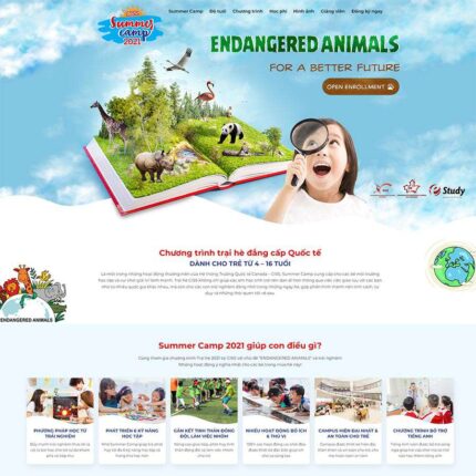 Thiết kế website chuyên nghiệp