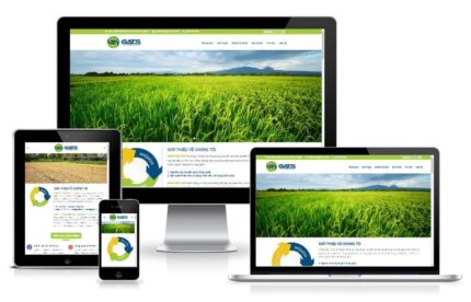 Thiết kế website chuyên nghiệp