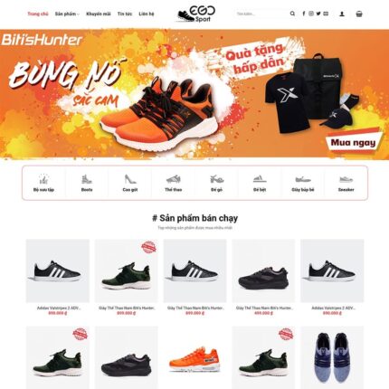 Thiết kế website chuyên nghiệp