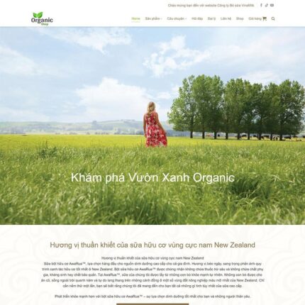Thiết kế website chuyên nghiệp