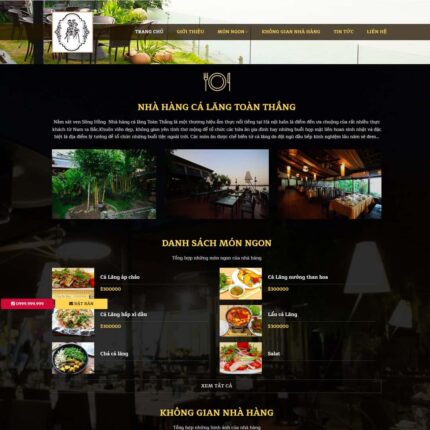 Thiết kế website chuyên nghiệp