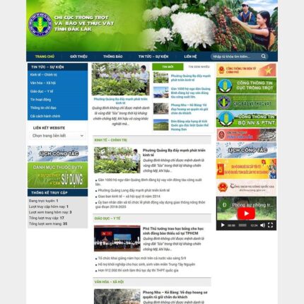 Thiết kế website chuyên nghiệp