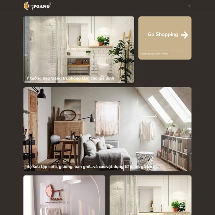 Thiết kế website chuyên nghiệp