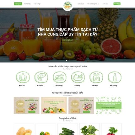 Thiết kế website chuyên nghiệp