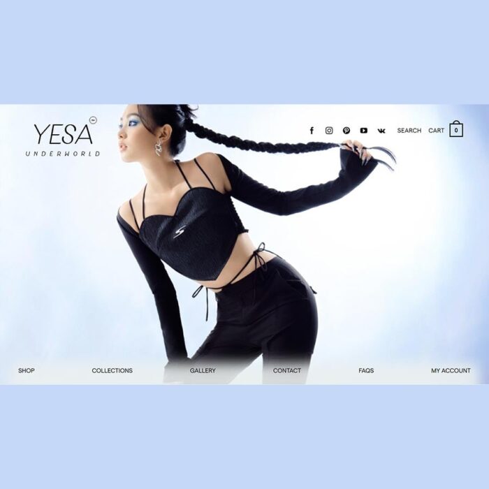 Thiết kế website chuyên nghiệp