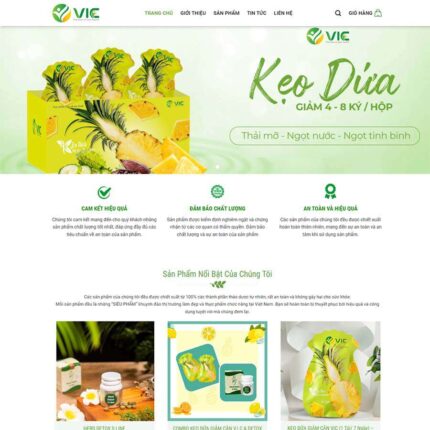 Thiết kế website chuyên nghiệp