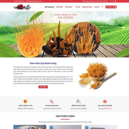Thiết kế website chuyên nghiệp