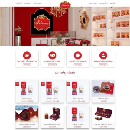 Thiết kế website chuyên nghiệp