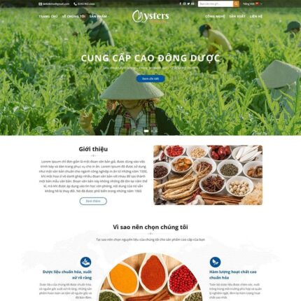 Thiết kế website chuyên nghiệp