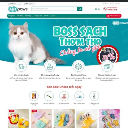 Thiết kế website chuyên nghiệp