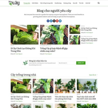 Thiết kế website chuyên nghiệp