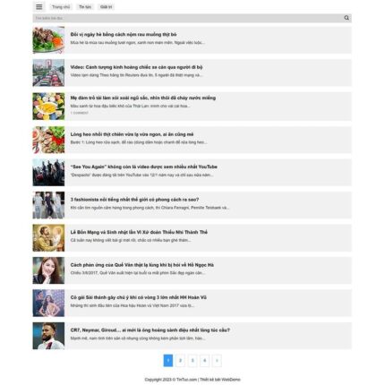 Thiết kế website chuyên nghiệp