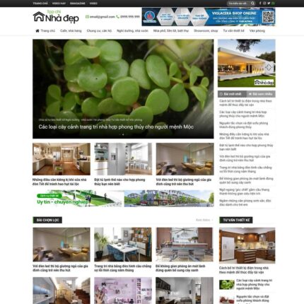 Thiết kế website chuyên nghiệp