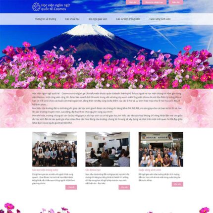 Thiết kế website chuyên nghiệp